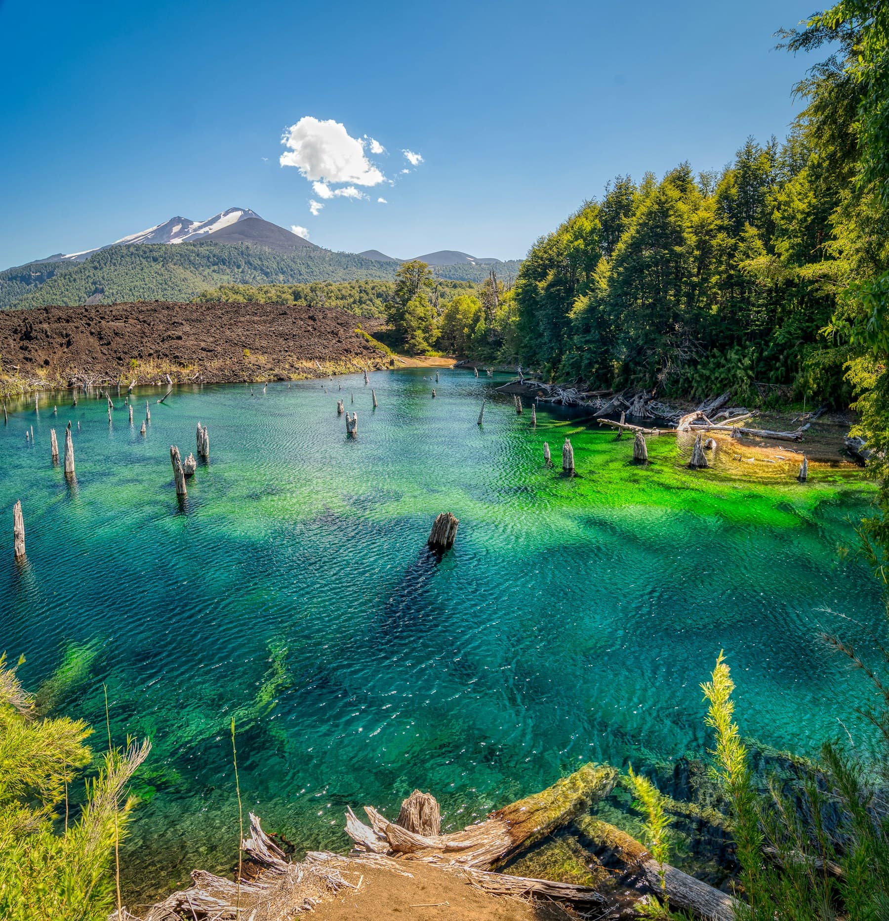 Laguna Arcoíris rodeada de bosque nativo en el Parque Nacional Conguillío